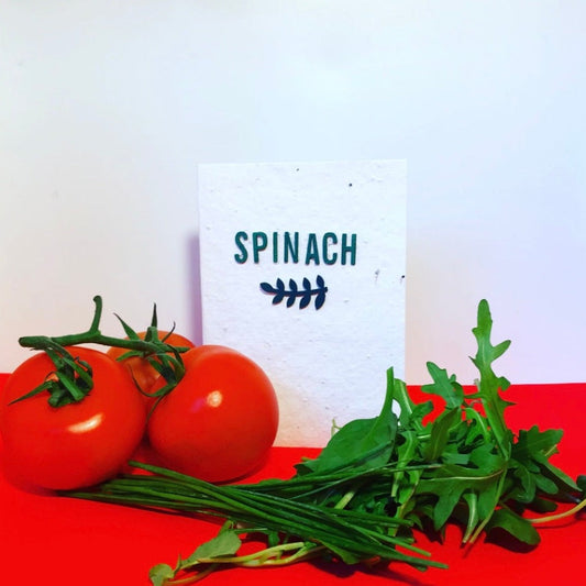 Spinach, seeds, plantable greeting card. With hand painted, wooden wording. Spinach recipe included.