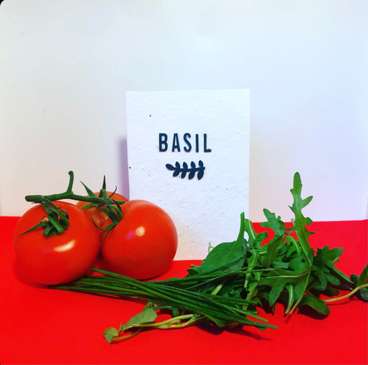 Basil, seeds, plantable greeting card. With hand painted, wooden wording. Basil recipe included.